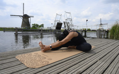 Yoga and Sustainability fundamentals